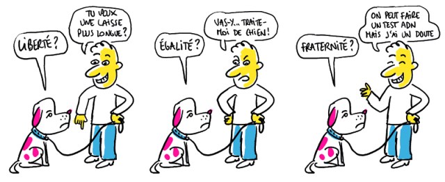 17 liberte egalite fraternite